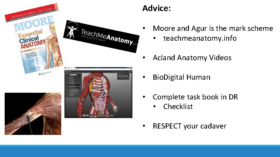 Advice: • Moore and Agur is the mark scheme • teachmeanatomy. info • Acland Advice: • Moore and Agur is the mark scheme • teachmeanatomy. info • Acland