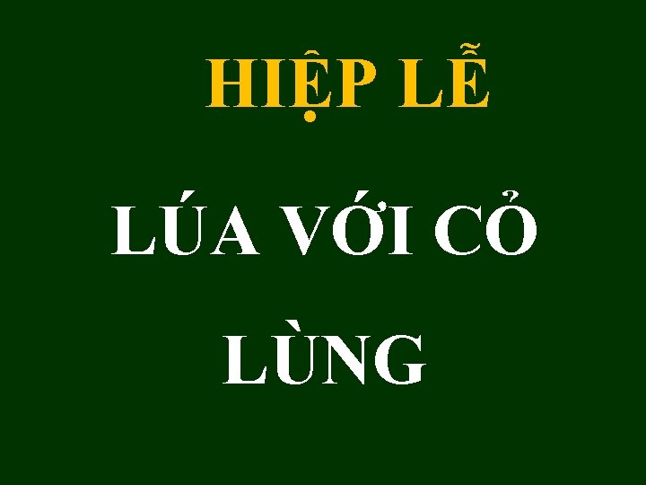 HIỆP LỄ LÚA VỚI CỎ LÙNG 