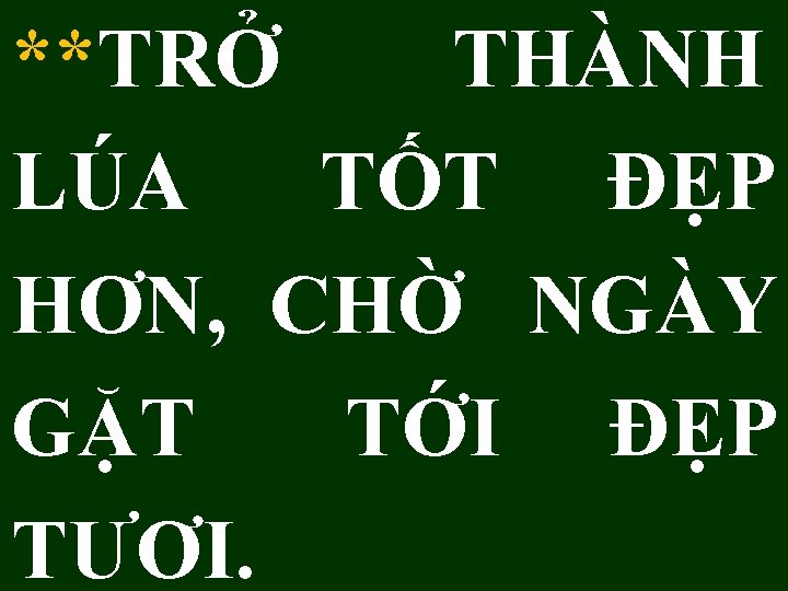 **TRỞ THÀNH LÚA TỐT ĐẸP HƠN, CHỜ NGÀY GẶT TỚI ĐẸP TƯƠI. 