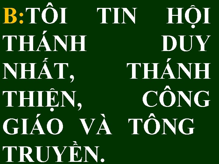 B: TÔI TIN HỘI THÁNH DUY NHẤT, THÁNH THIỆN, CÔNG GIÁO VÀ TÔNG TRUYỀN.