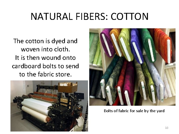 NATURAL FIBERS: COTTON The cotton is dyed and woven into cloth. It is then