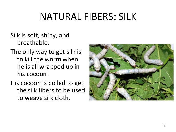 NATURAL FIBERS: SILK Silk is soft, shiny, and breathable. The only way to get