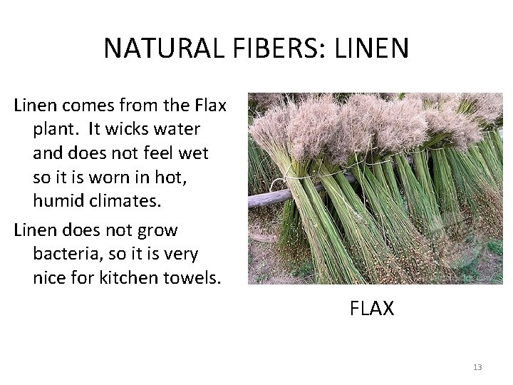 NATURAL FIBERS: LINEN Linen comes from the Flax plant. It wicks water and does