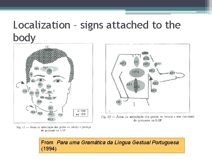 Localization – signs attached to the body From Para uma Gramática da Língua Gestual