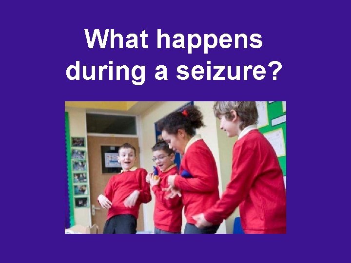 What happens during a seizure? 