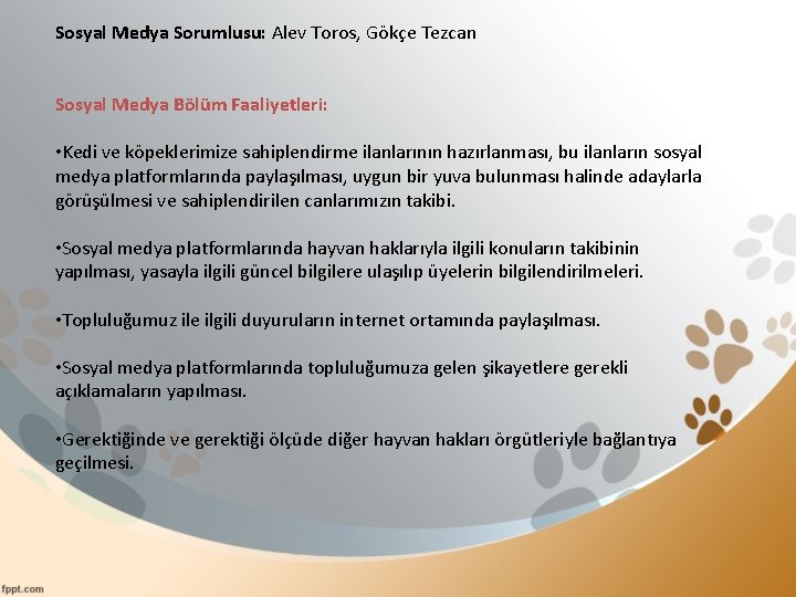 Sosyal Medya Sorumlusu: Alev Toros, Gökçe Tezcan Sosyal Medya Bölüm Faaliyetleri: • Kedi ve