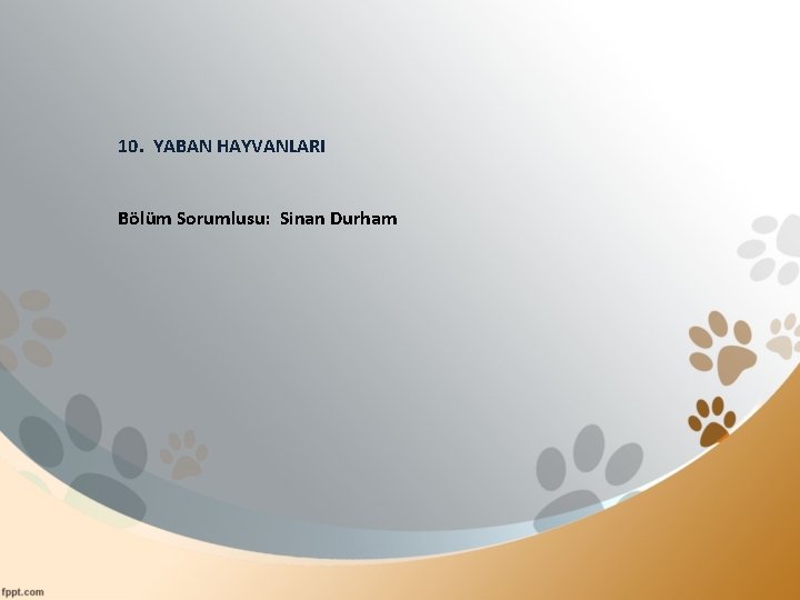 10. YABAN HAYVANLARI Bölüm Sorumlusu: Sinan Durham 