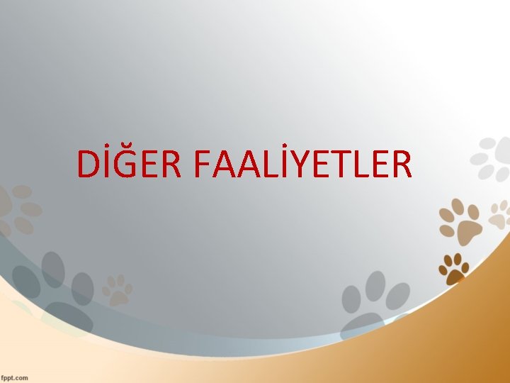 DİĞER FAALİYETLER 