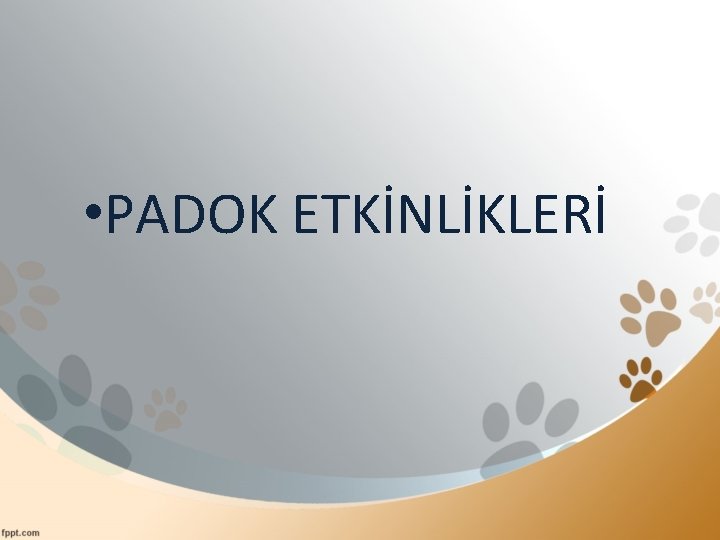  • PADOK ETKİNLİKLERİ 