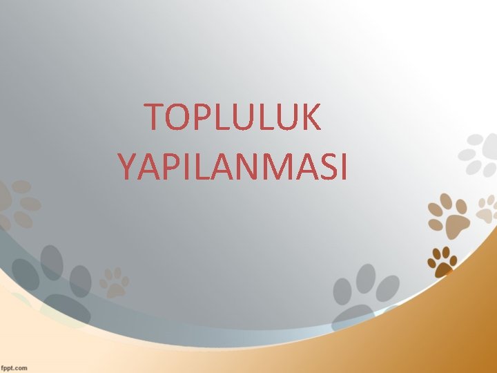TOPLULUK YAPILANMASI 