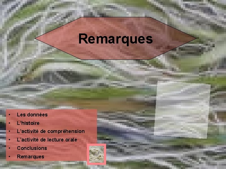 Remarques • Les données • L’histoire • L’activité de compréhension • L’activité de lecture