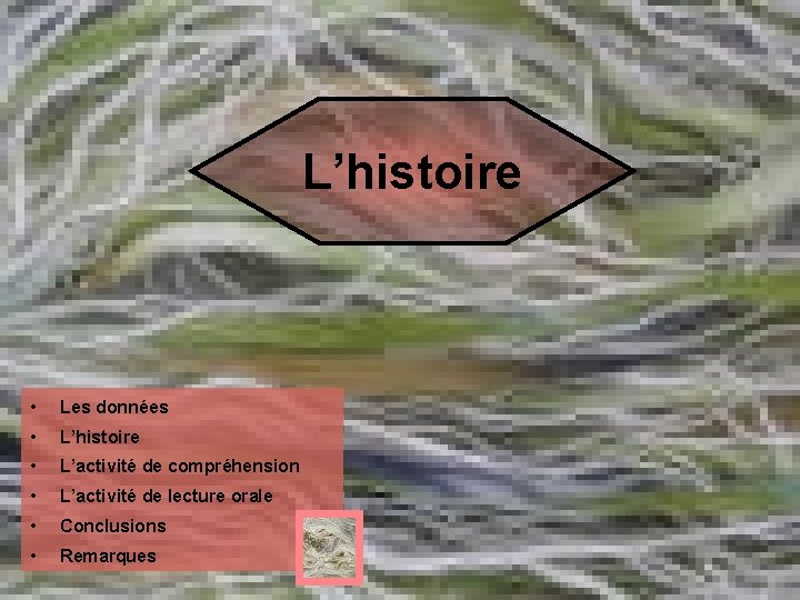 L’histoire • Les données • L’histoire • L’activité de compréhension • L’activité de lecture