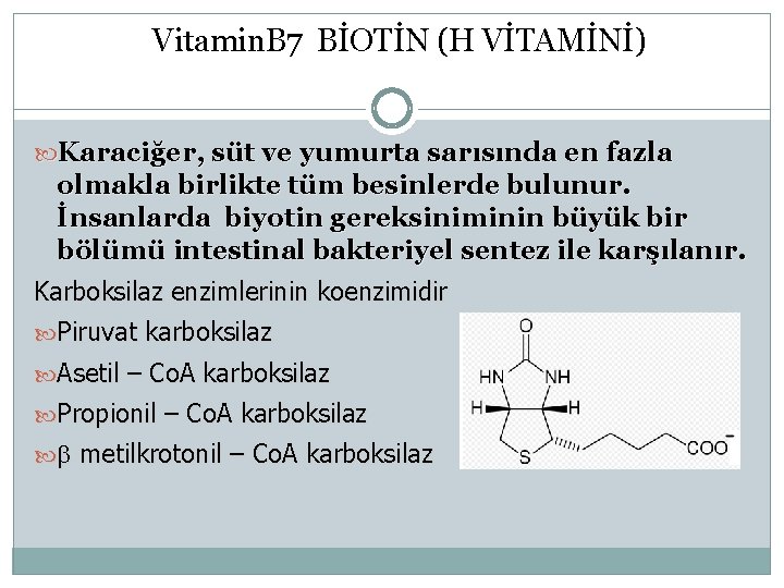 Vitamin. B 7 BİOTİN (H VİTAMİNİ) Karaciğer, süt ve yumurta sarısında en fazla olmakla