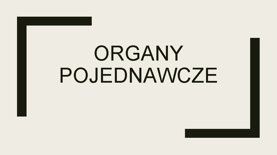 ORGANY POJEDNAWCZE 