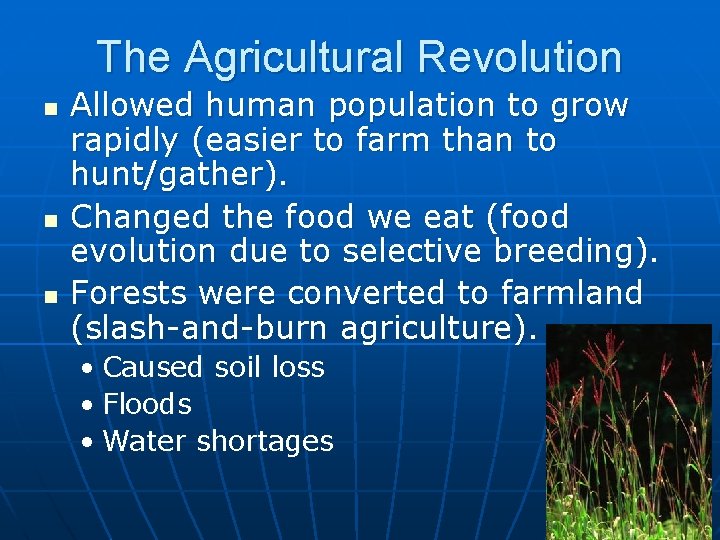 The Agricultural Revolution n Allowed human population to grow rapidly (easier to farm than