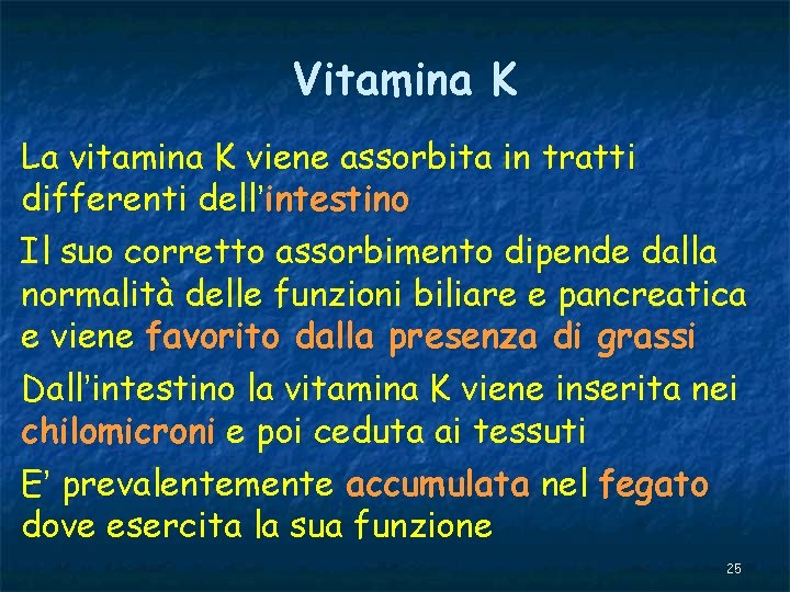 Vitamina K La vitamina K viene assorbita in tratti differenti dell’intestino Il suo corretto