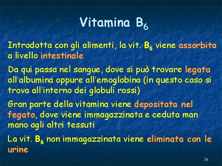 Vitamina B 6 Introdotta con gli alimenti, la vit. B 6 viene assorbita a