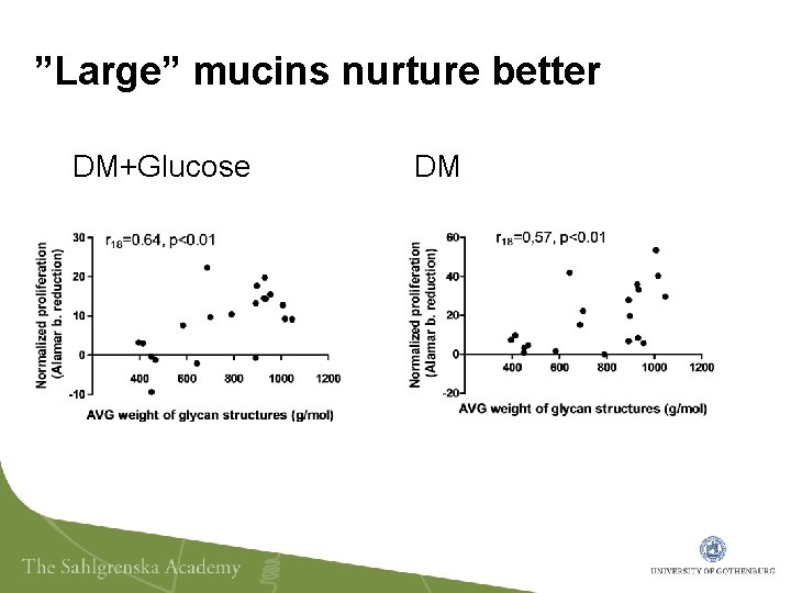 ”Large” mucins nurture better DM+Glucose DM 