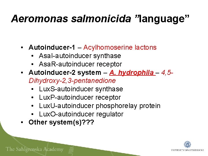 Aeromonas salmonicida ”language” • Autoinducer-1 – Acylhomoserine lactons • Asa. I-autoinducer synthase • Asa.