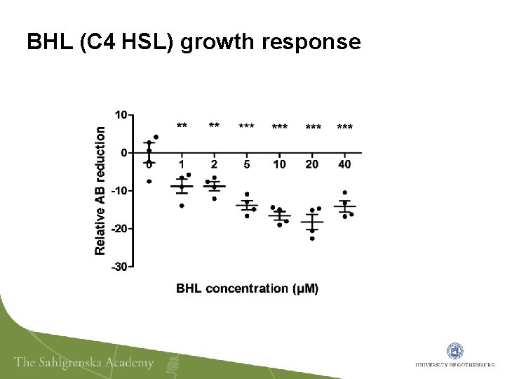 BHL (C 4 HSL) growth response 