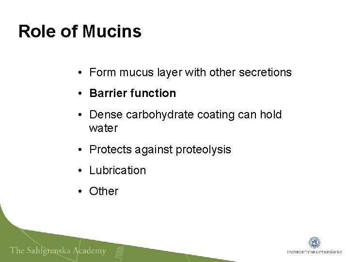 Role of Mucins • Form mucus layer with other secretions • Barrier function •