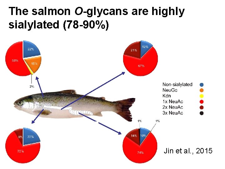 The salmon O-glycans are highly sialylated (78 -90%) Jin et al. , 2015 