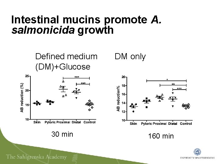 Intestinal mucins promote A. salmonicida growth Defined medium (DM)+Glucose 30 min DM only 160