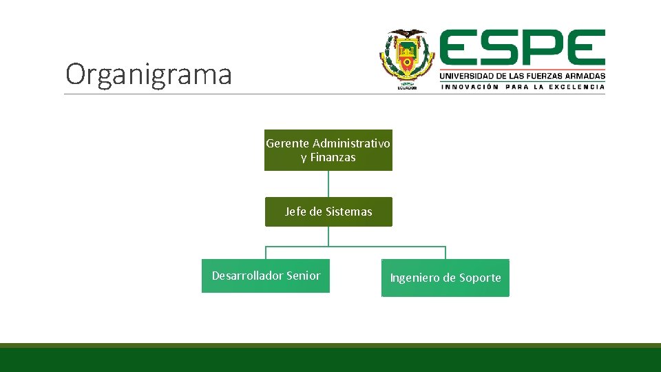 Organigrama Gerente Administrativo y Finanzas Jefe de Sistemas Desarrollador Senior Ingeniero de Soporte 