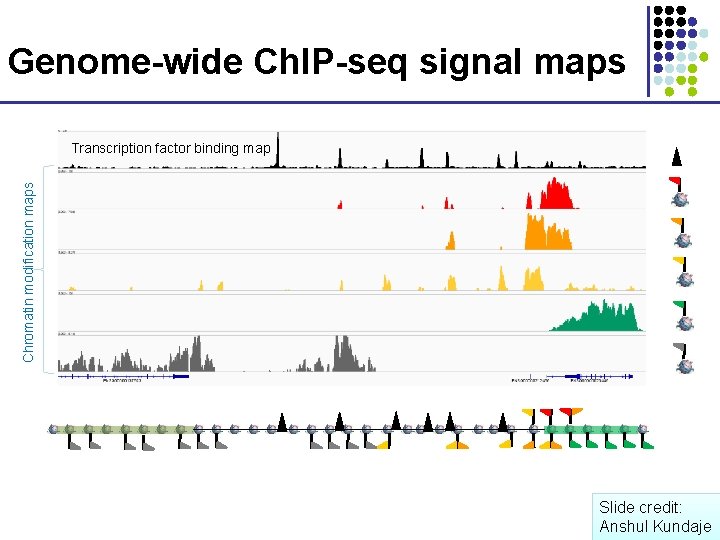 Genome-wide Ch. IP-seq signal maps Chromatin modification maps Transcription factor binding map Slide credit: