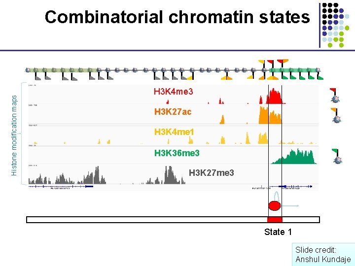 Histone modification maps Combinatorial chromatin states H 3 K 4 me 3 H 3