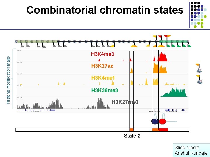 Histone modification maps Combinatorial chromatin states H 3 K 4 me 3 H 3