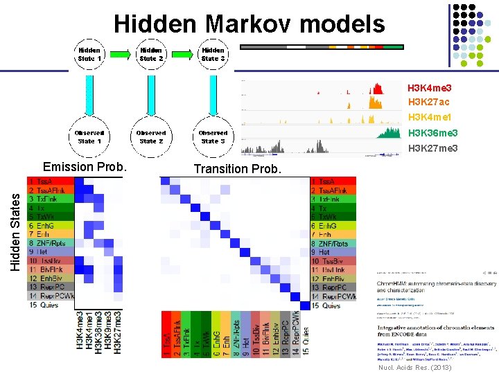 Hidden Markov models H 3 K 4 me 3 H 3 K 27 ac