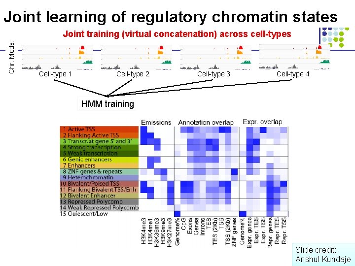 Joint learning of regulatory chromatin states Chr. Mods. Joint training (virtual concatenation) across cell-types