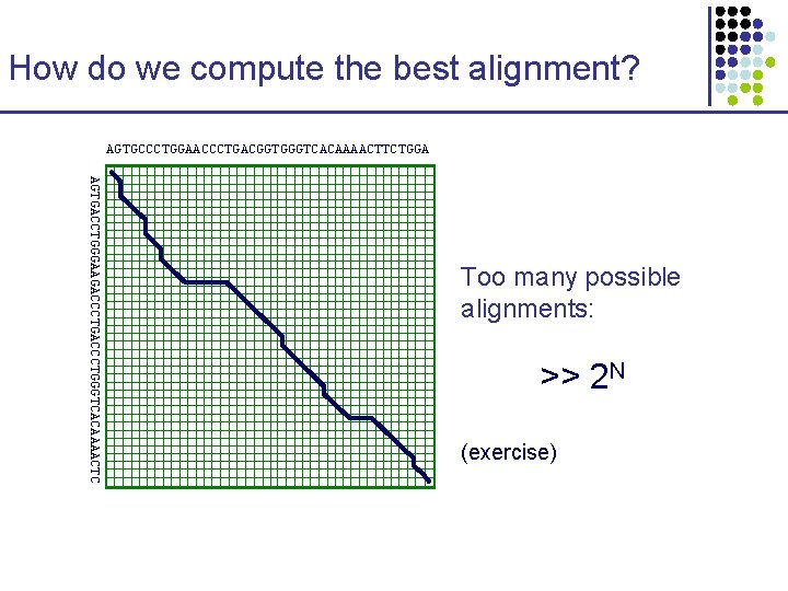 How do we compute the best alignment? AGTGCCCTGGAACCCTGACGGTGGGTCACAAAACTTCTGGA AGTGACCTGGGAAGACCCTGGGTCACAAAACTC Too many possible alignments: >>