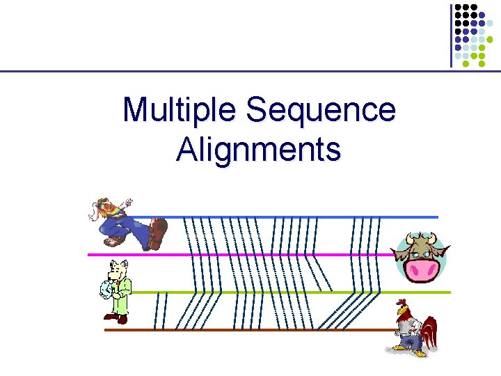Multiple Sequence Alignments 