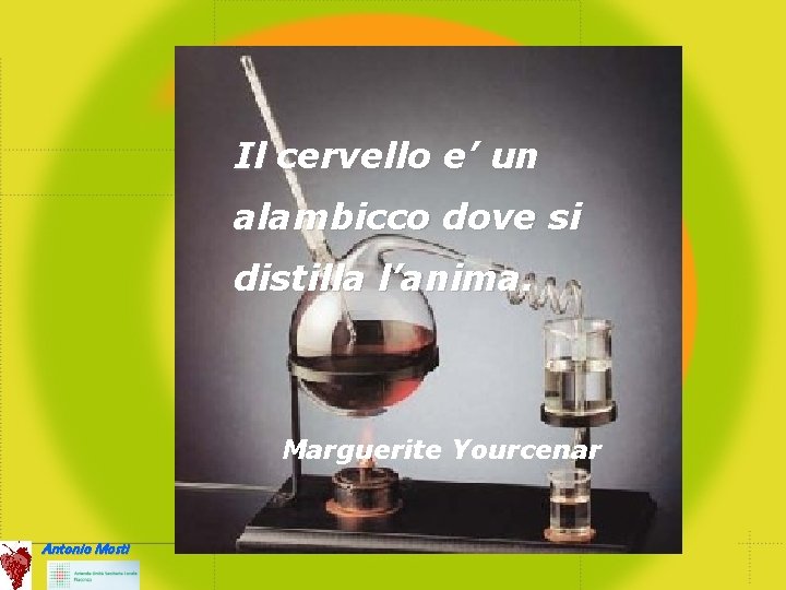 Il cervello e’ un alambicco dove si distilla l’anima. Marguerite Yourcenar Antonio Mosti 