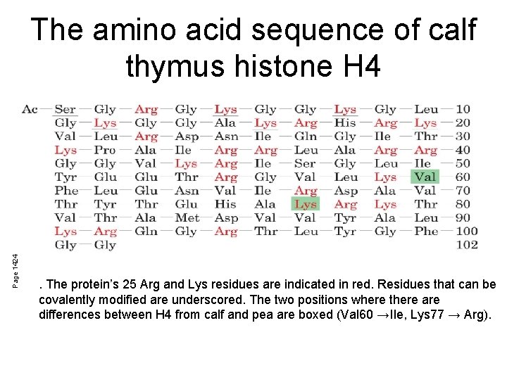 Page 1424 The amino acid sequence of calf thymus histone H 4 . The