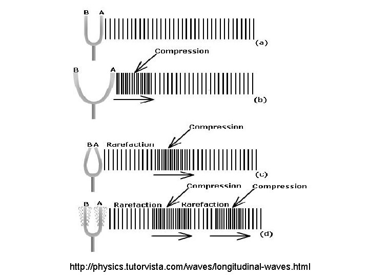 http: //physics. tutorvista. com/waves/longitudinal-waves. html 