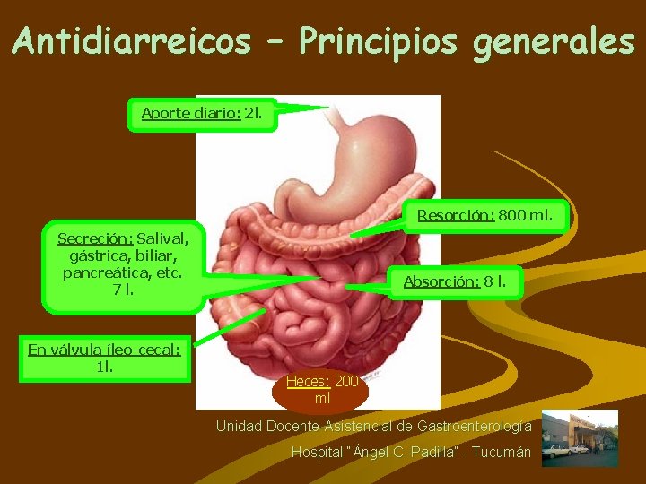 Antidiarreicos – Principios generales Aporte diario: 2 l. Resorción: 800 ml. Secreción: Salival, gástrica,