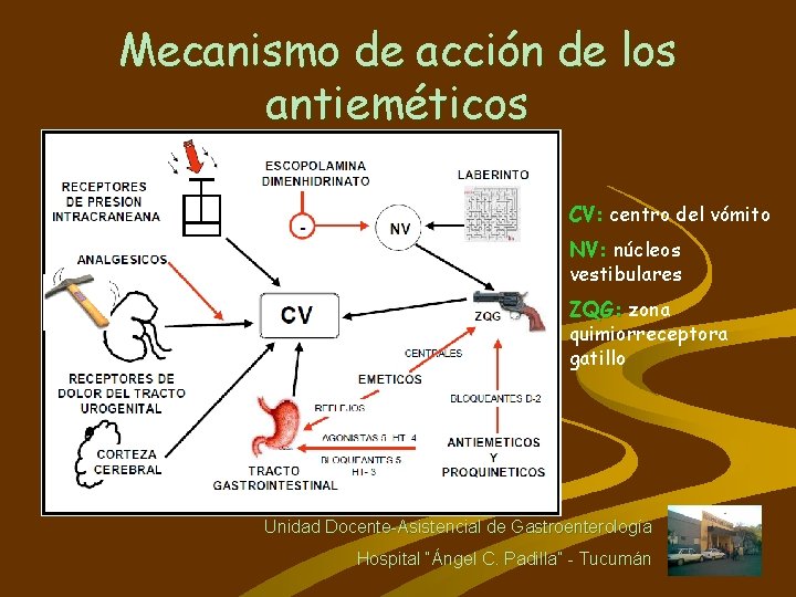 Mecanismo de acción de los antieméticos CV: centro del vómito NV: núcleos vestibulares ZQG: