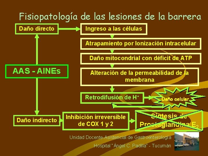 Fisiopatología de las lesiones de la barrera Daño directo Ingreso a las células Atrapamiento