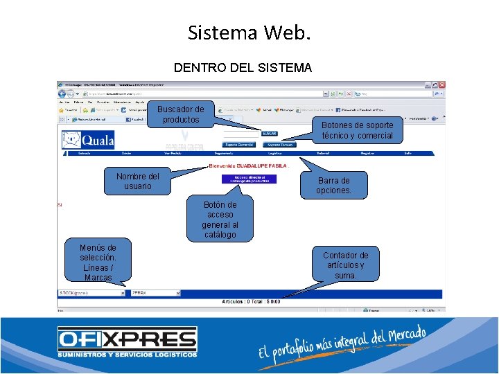 Sistema Web. DENTRO DEL SISTEMA Buscador de productos Nombre del usuario Botones de soporte