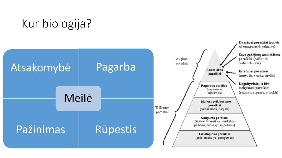 Kur biologija? 