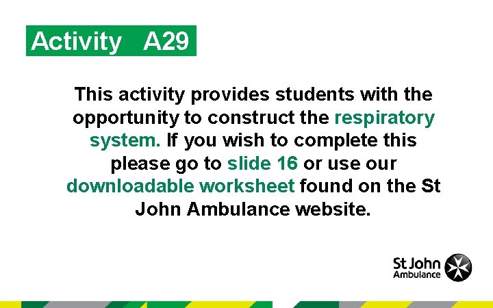 Activity A 29 This activity provides students with the opportunity to construct the respiratory
