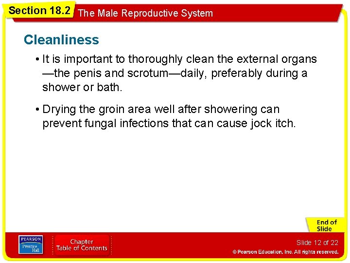 Section 18. 2 The Male Reproductive System Cleanliness • It is important to thoroughly