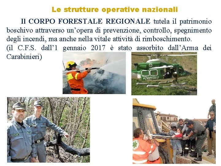 Le strutture operative nazionali Il CORPO FORESTALE REGIONALE tutela il patrimonio boschivo attraverso un’opera