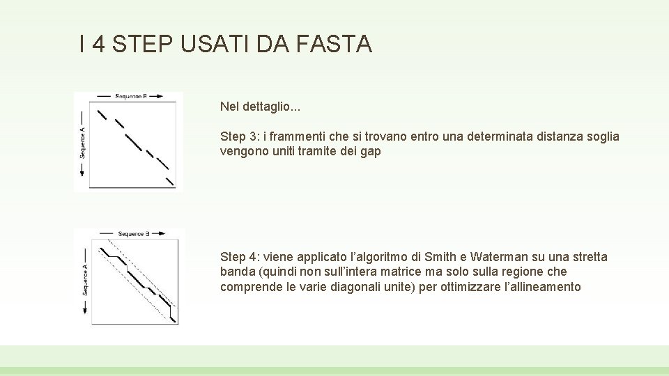 I 4 STEP USATI DA FASTA Nel dettaglio. . . Step 3: i frammenti