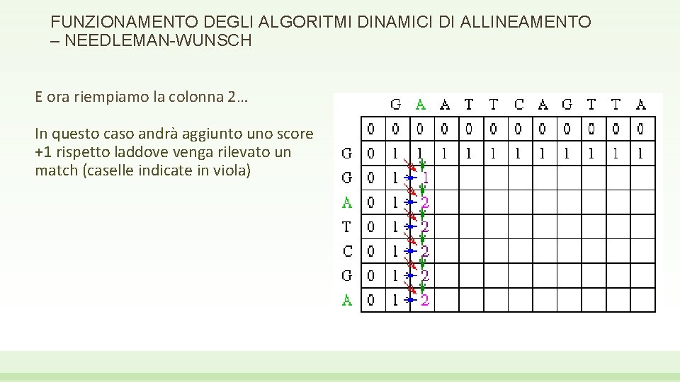 FUNZIONAMENTO DEGLI ALGORITMI DINAMICI DI ALLINEAMENTO – NEEDLEMAN-WUNSCH E ora riempiamo la colonna 2…