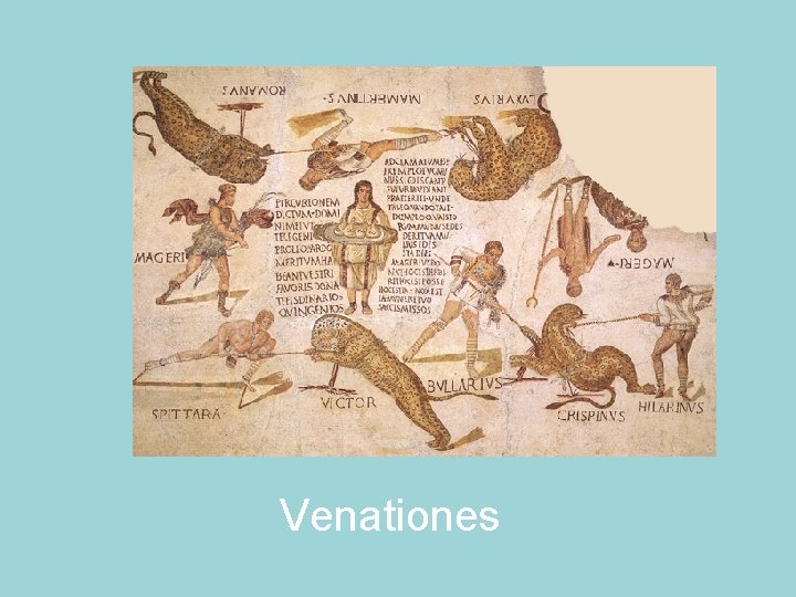 Venationes 