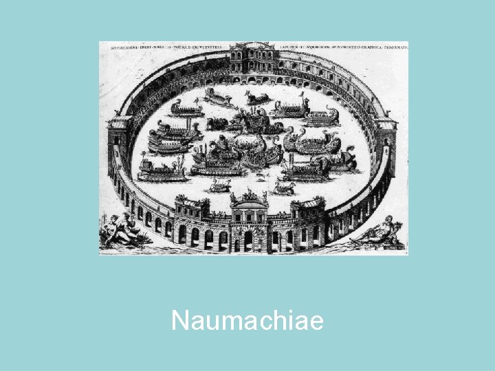 Naumachiae 